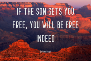 John 8:36
