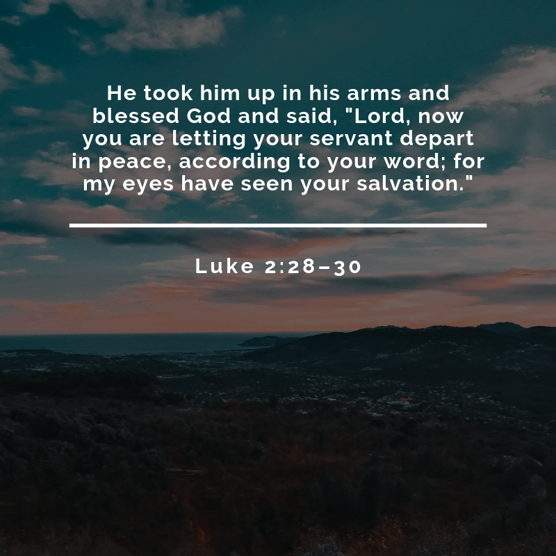Luke 2:28-30        