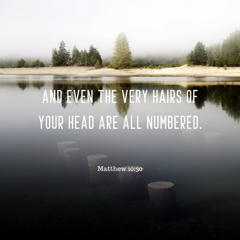 Matthew 10:30
