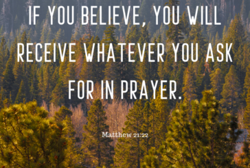 Matthew 21:22