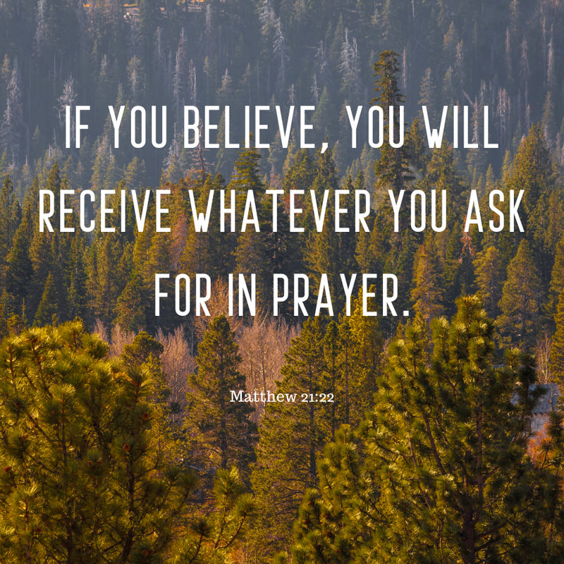Matthew 21:22