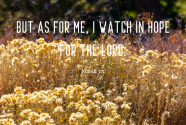 Micah 7:7