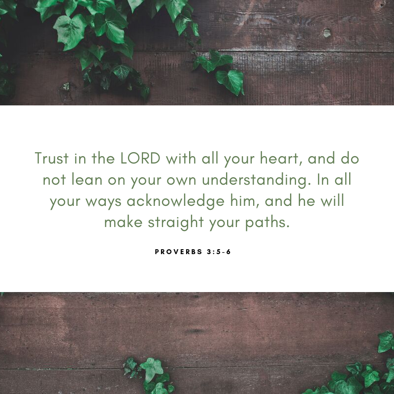 Proverbs 3:5-6