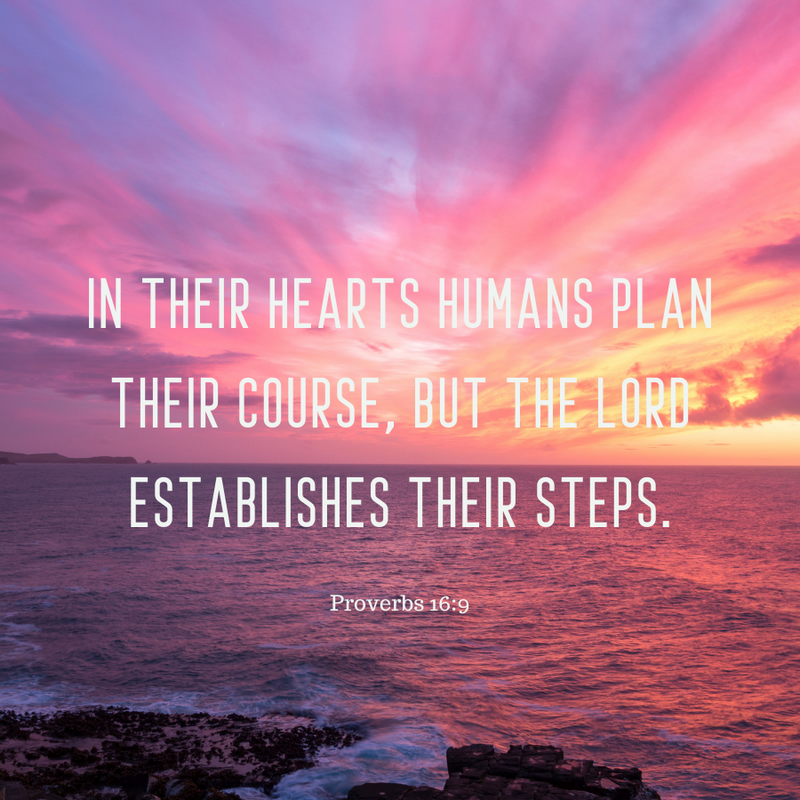Proverbs 16:9