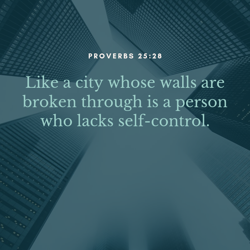 Proverbs 25:28