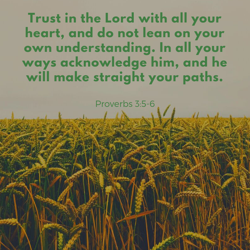 Proverbs 3:5-6