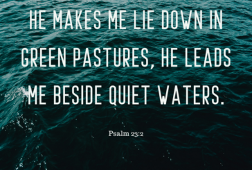 Psalm 23:2