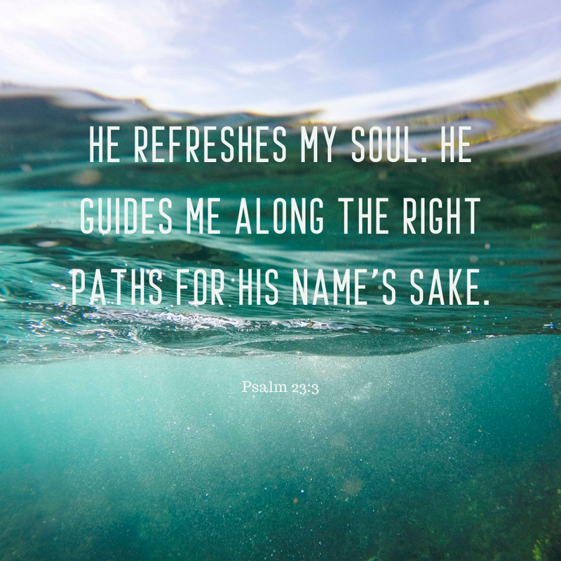 Psalm 23:3