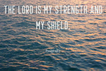 Psalm 28:7