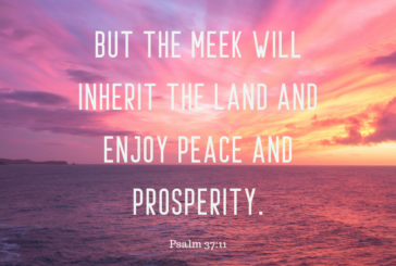 Psalm 37:11