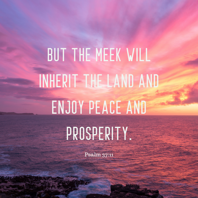 Psalm 37:11