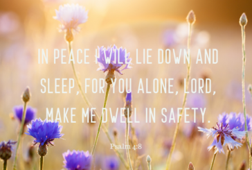 Psalm 4:8