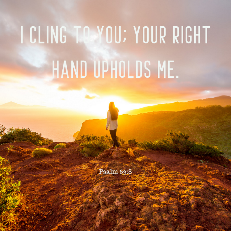 Psalm 63:8