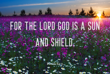 Psalm 84:11