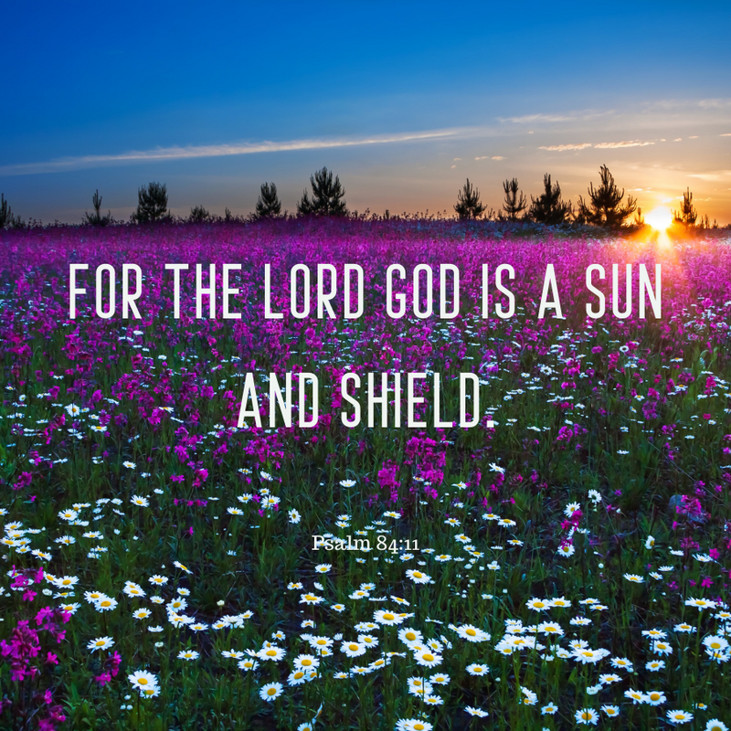 Psalm 84:11