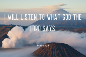 Psalm 85:8