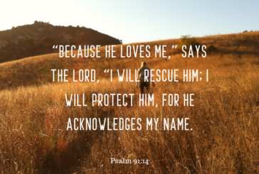 Psalm 91:14