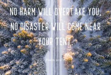Psalm 91:9-10