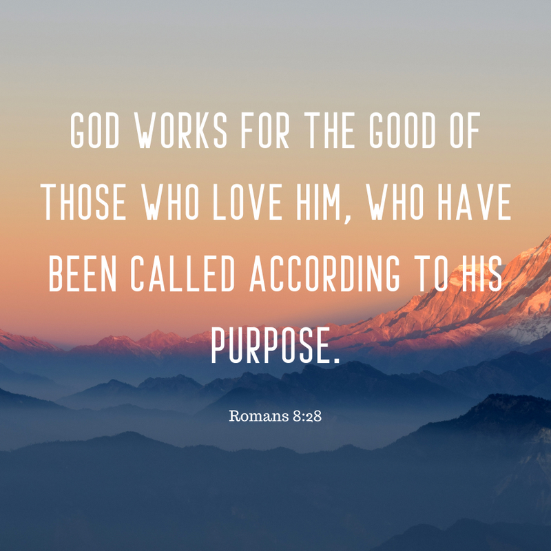 Romans 8:28