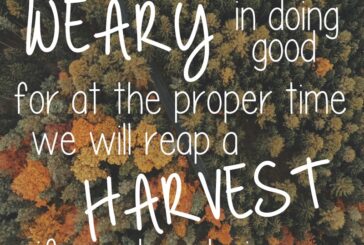 Galatians 6:9
