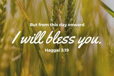 Haggai 2:19