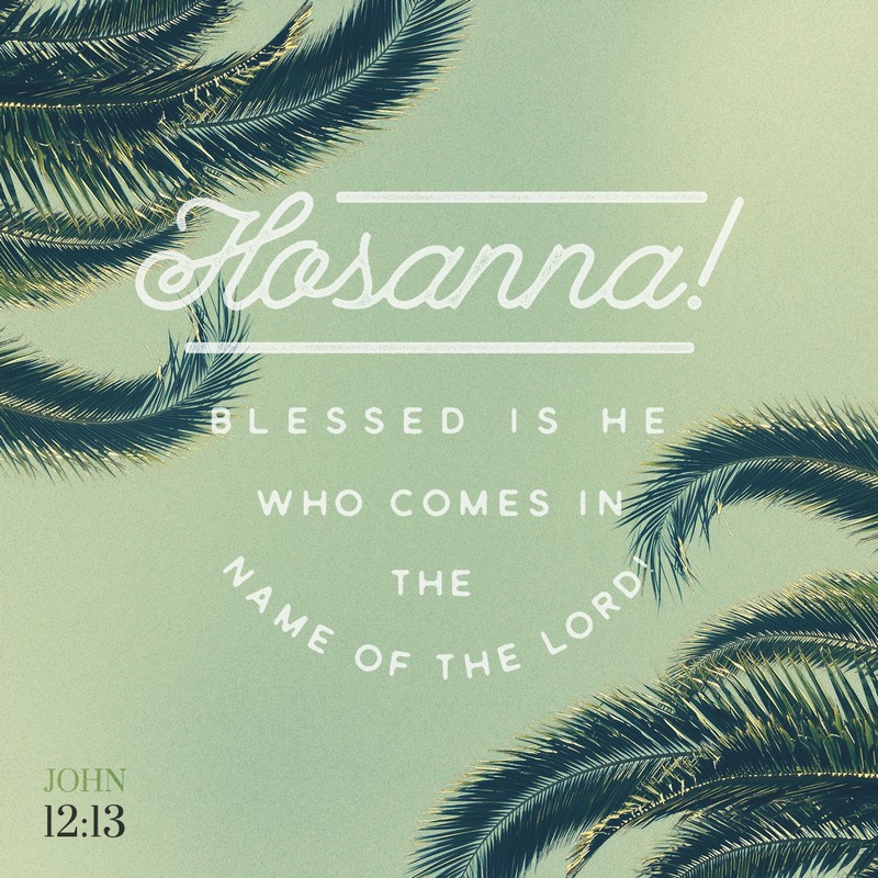 John 12:13