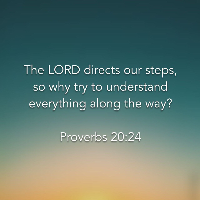 Proverbs 20:24