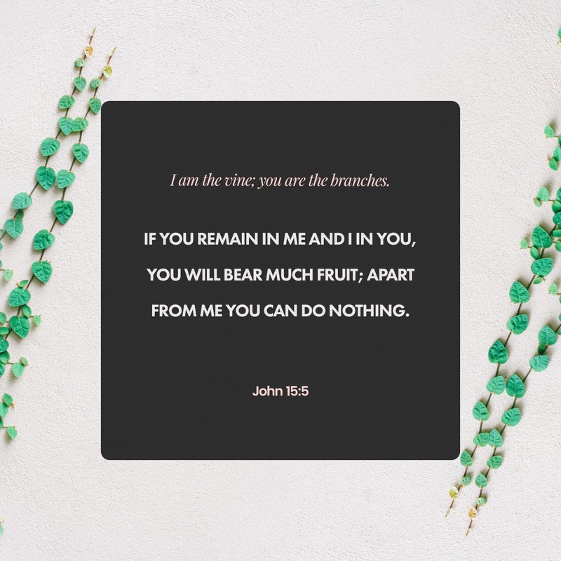 John 15:5
