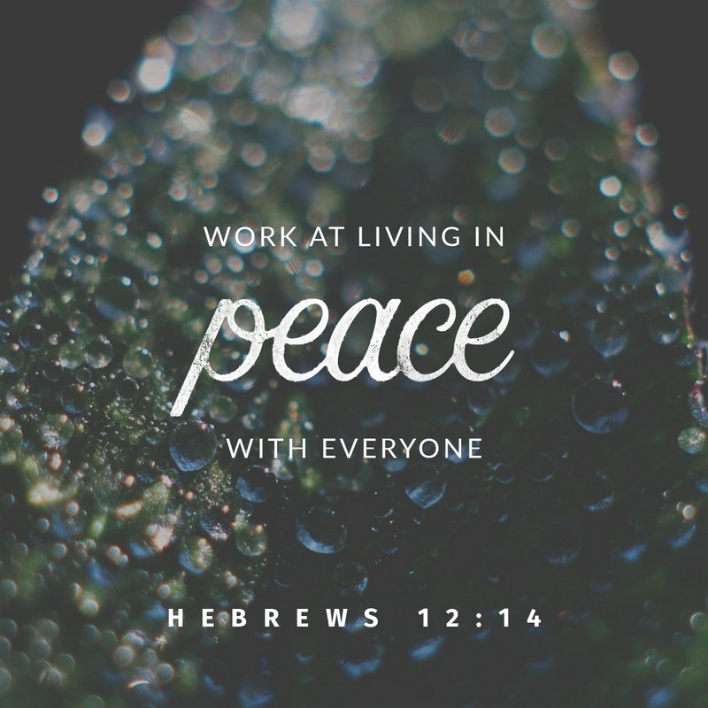 Hebrews 12:14