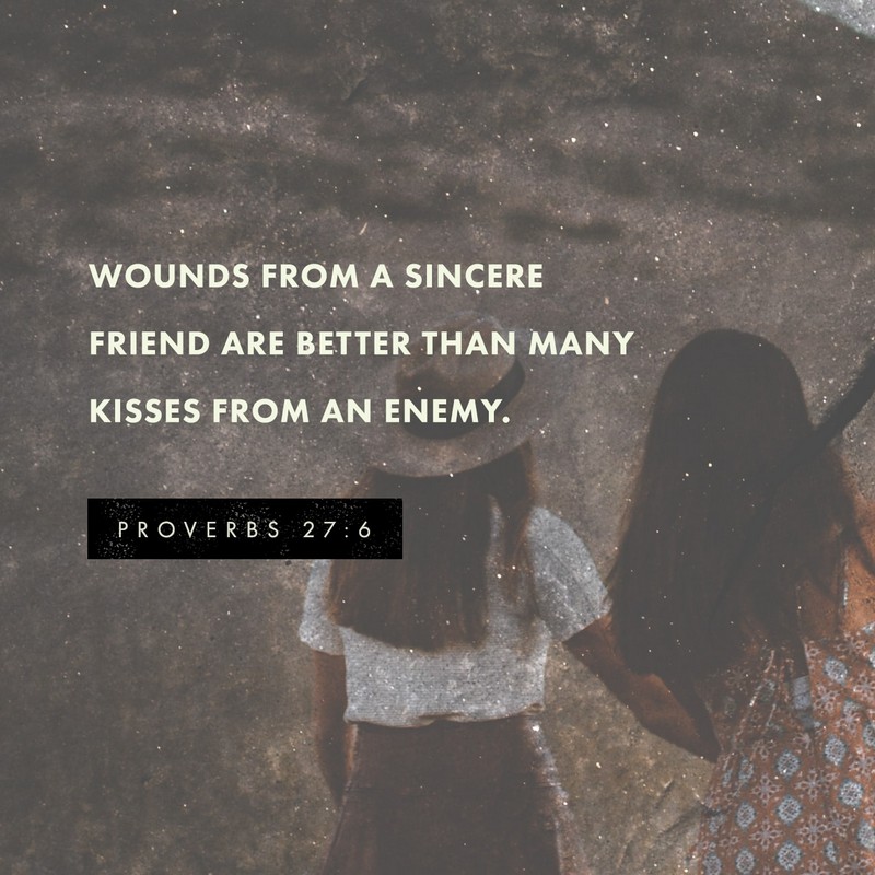Proverbs 27:6