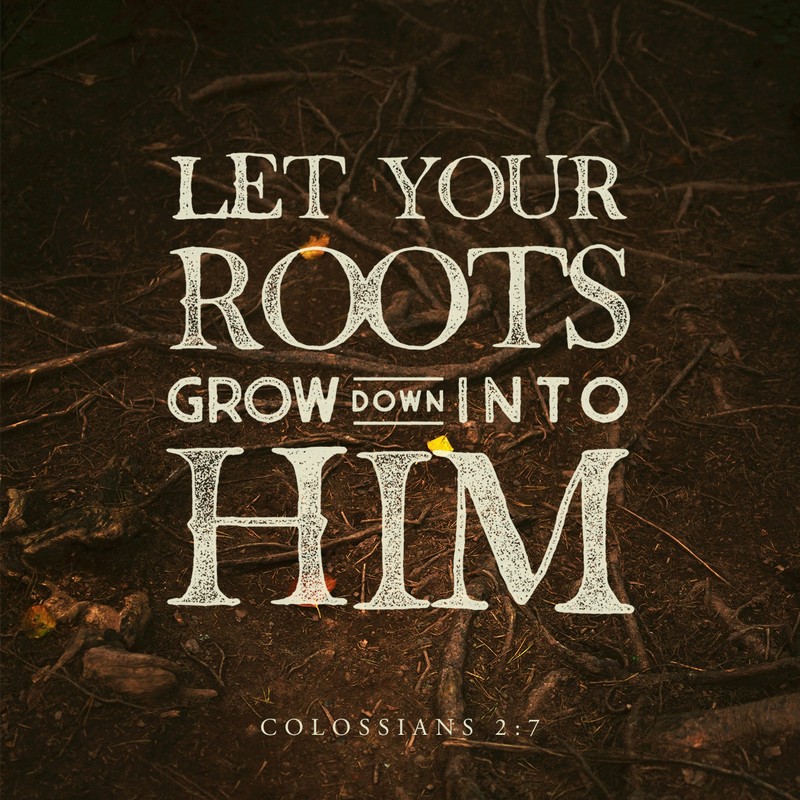 Colossians 2:7