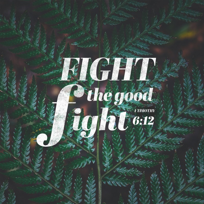 1 Timothy 6:12