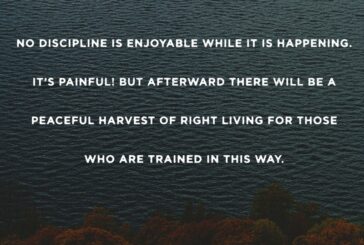 Hebrews 12:11