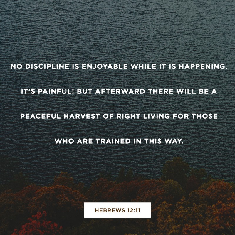 Hebrews 12:11