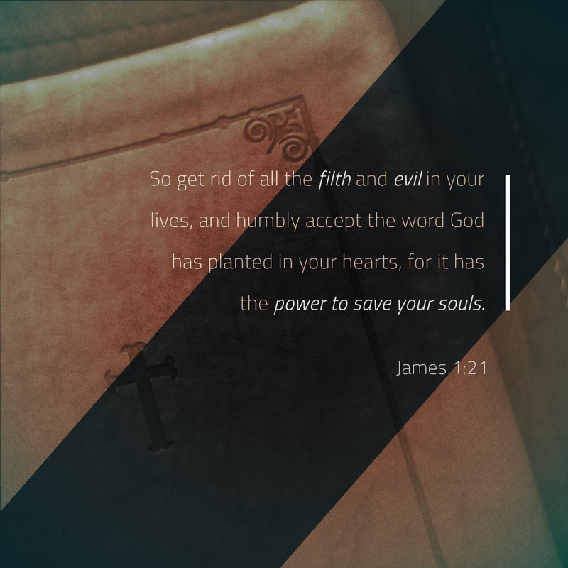 James 1:21