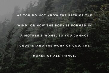 Ecclesiastes 11:5