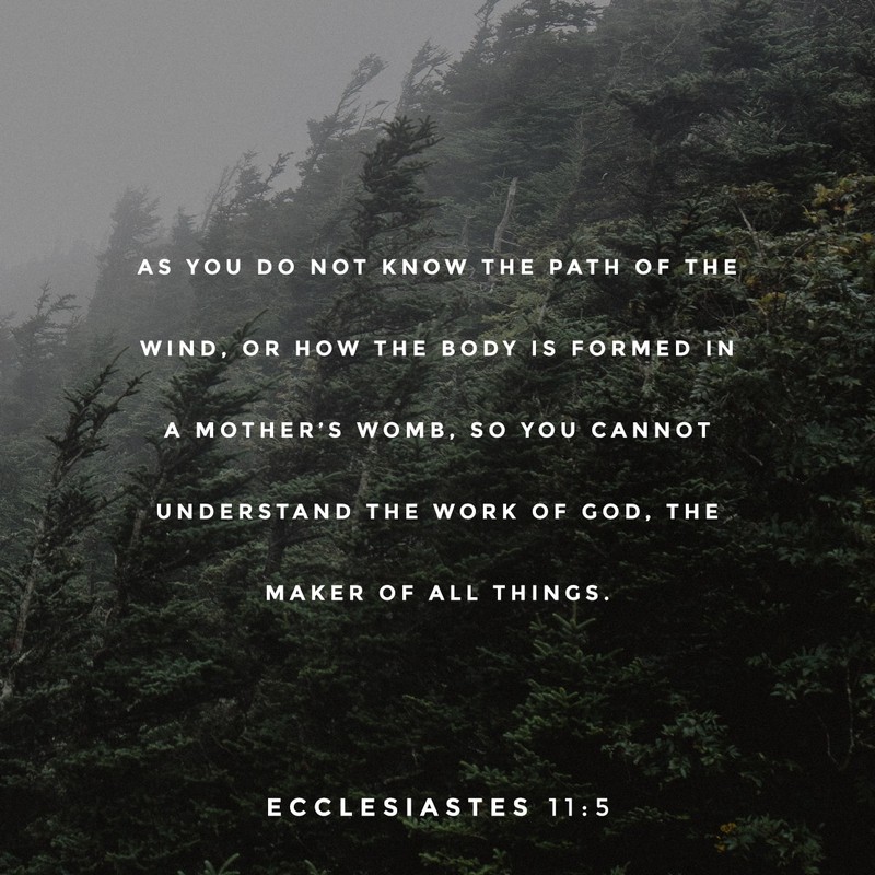 Ecclesiastes 11:5