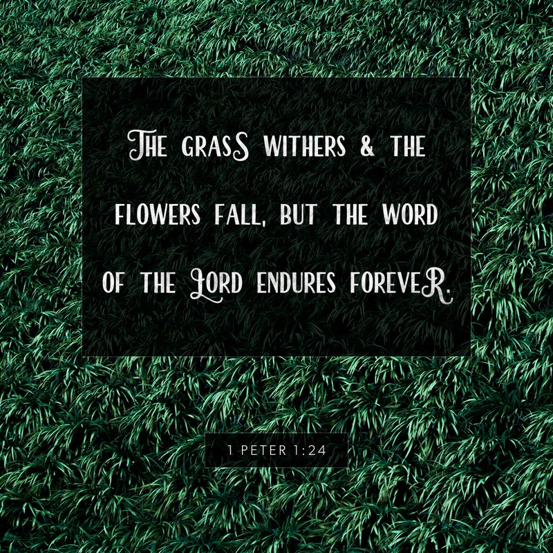 1 Peter 1:24