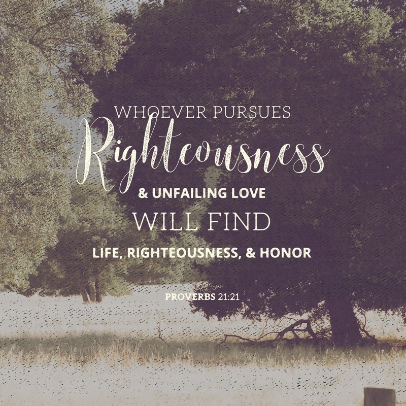 Proverbs 21:21