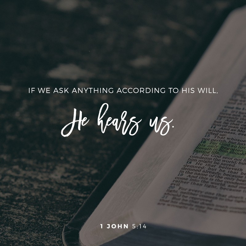 1 John 5:14