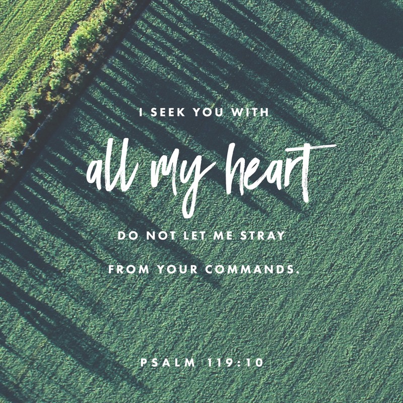 Psalm 119:10