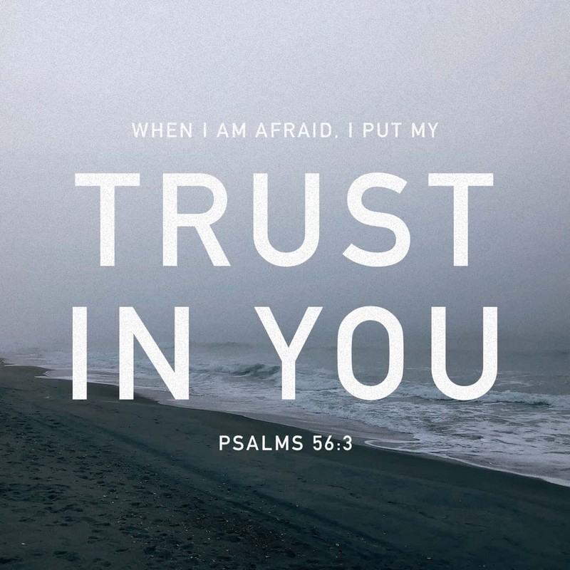 Psalms 56:3